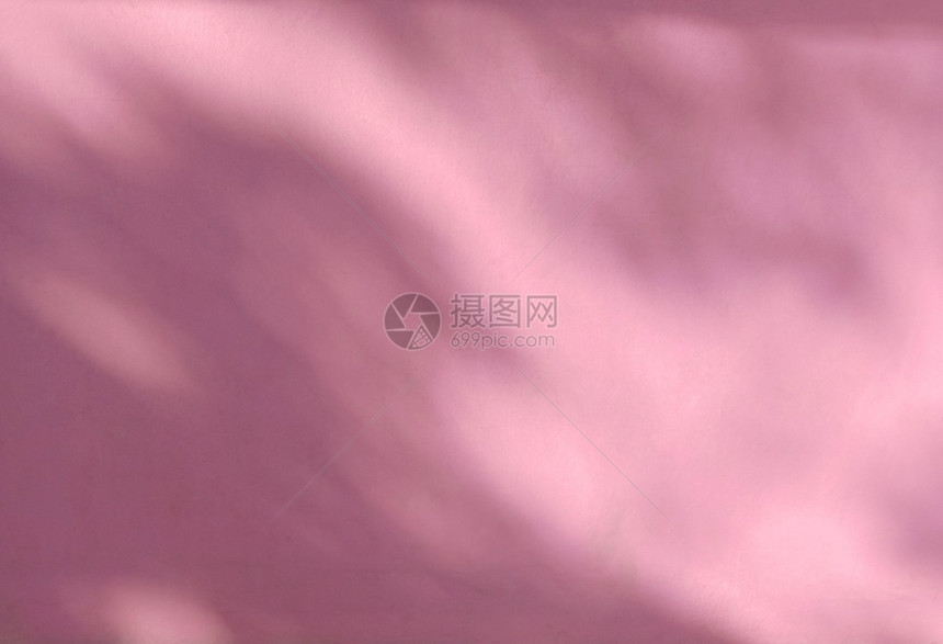 太阳分支粉色墙壁叶的阴影照片模拟产品墙壁艺术设计演示文稿的覆盖效果抽象图片