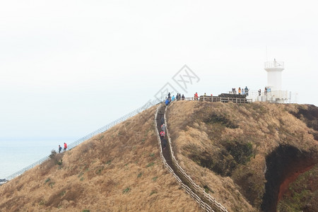 小路花园南朝鲜济州岛观光的步行路段植物学图片