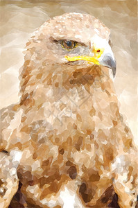 艺术品金龟子鹰肖像的数码生成绘画水彩色抽象图画天鹰座图片