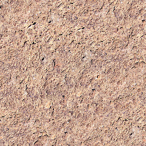活生浅褐色的砂岩02图片