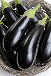 熟花园庄稼篮子中黑色的茄图片
