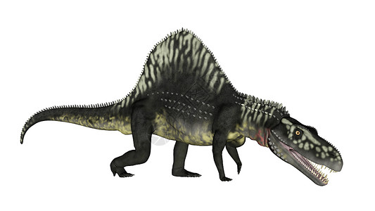 亚利桑那龙恐白底口张开3D形象的自然动物背景图片