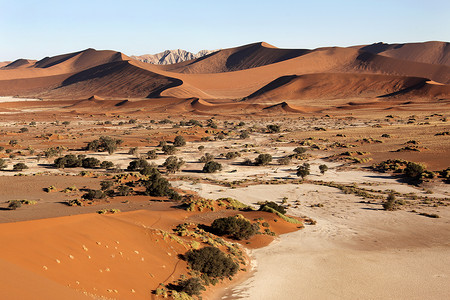 非洲沙漠图片