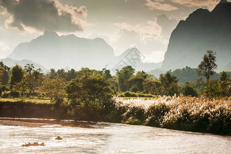 芦苇闪耀歌曲黄昏时南宋河风景金色阳光照耀在山谷的脉上河岸有野生花水面亮光闪烁北老挝冬季场景大老挝背景图片