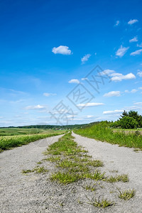 乡村的草农道路风景图片