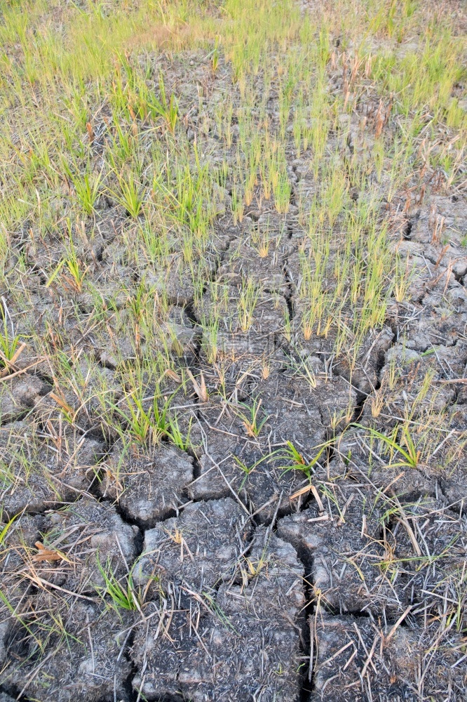 农村地区土的裂口clay沙漠质地干燥热环境图片