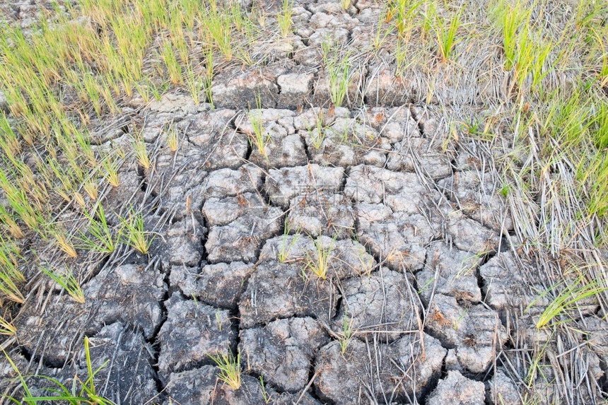 干旱热的农村地区土裂口clay沙漠质地土壤图片