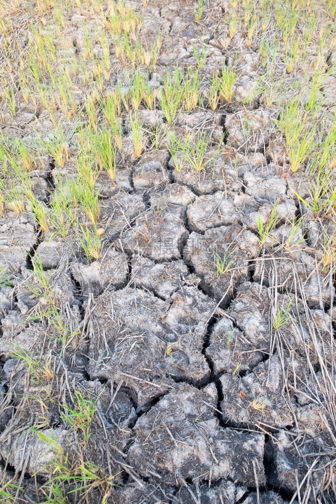 裂缝泥农村地区土的裂口clay沙漠质地气候图片