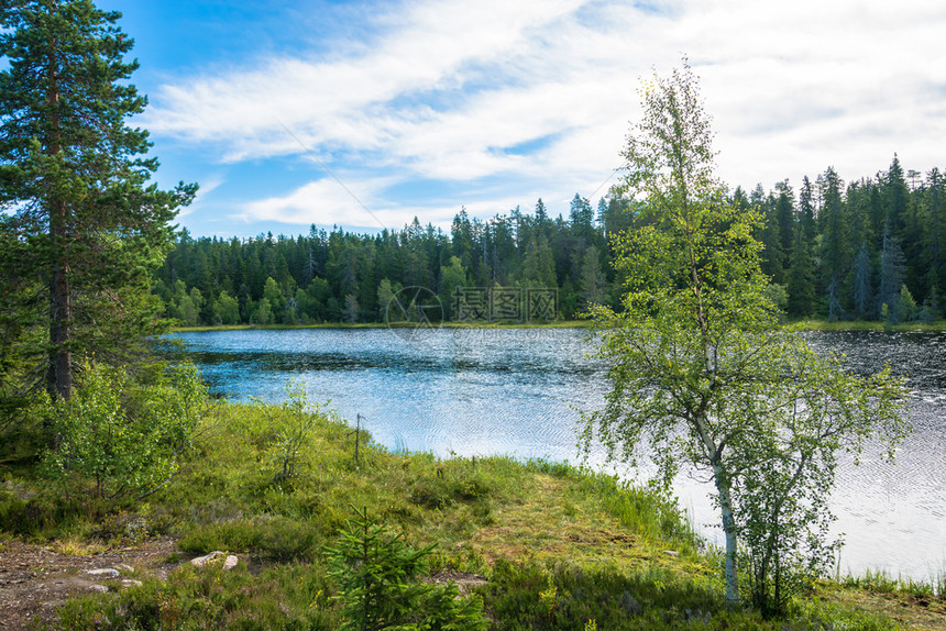 户外美丽的风景与一个小湖在夏天的一俄罗斯卡列利亚天空累阿图片