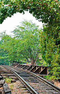 追踪铁道对护树木绿色自然图片