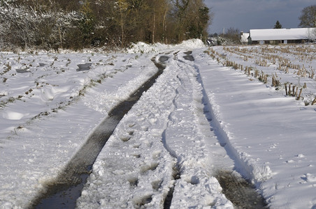 法国温度布列塔尼的雪下路径冬天图片