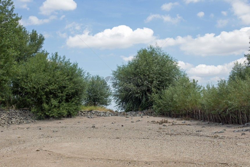 多云的德国赫森州格恩海姆莱茵河滨岸贝壳水图片