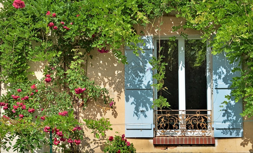 一栋房屋的蓝色封闭窗户外遮盖着一座被攀爬厂覆盖的墙面上玫瑰爬窗户正面花园视窗背景图片