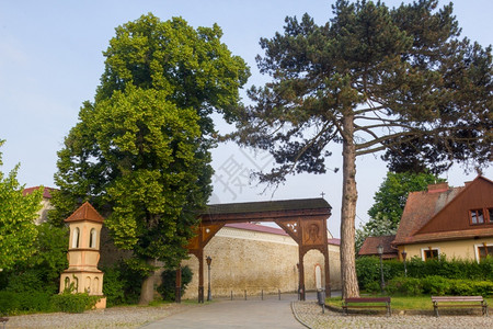 波兰StarySacz的Wooden门和修道院墙星点历史的古老图片