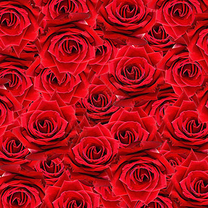 美丽的红玫瑰图案自然鲜花抽象背景婚礼开花浪漫的图片