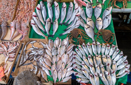 伊斯坦布尔渔场上的各种鱼钓样的店铺图片