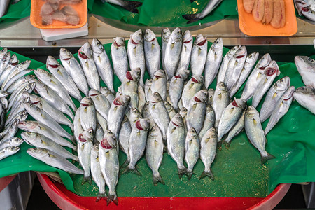 各种样的伊斯坦布尔渔场上的各种鱼市城背景图片
