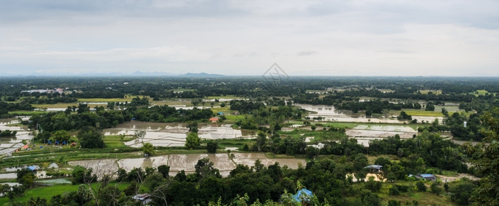 比我泰国绿色大稻田的空中景观背景图片