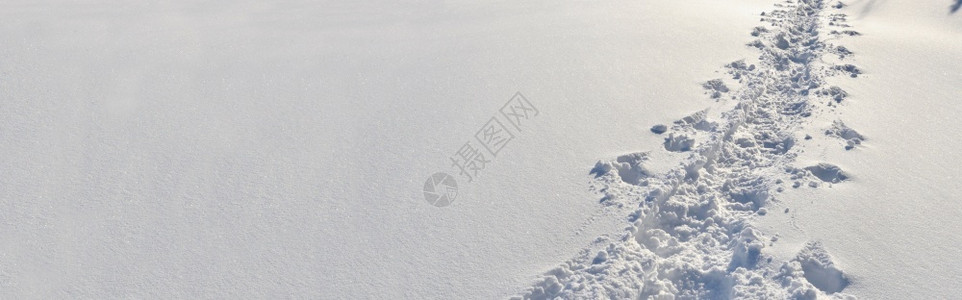 冬季雪地背景图片