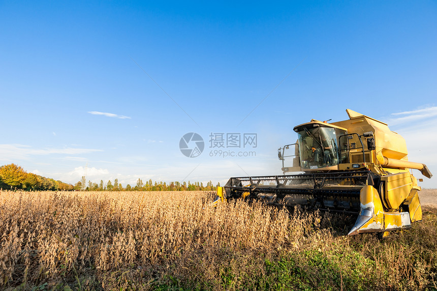 农场与联合收割机一道获大豆田黄河景观色的图片
