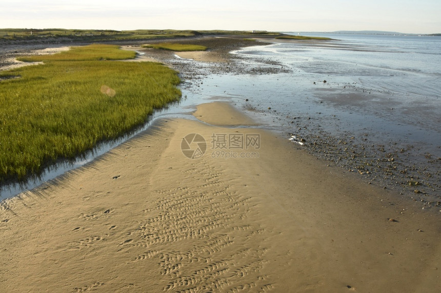海岸Duxbury马萨诸塞州景色沙滩和沿海风景低的潮汐图片