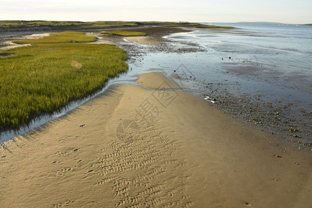 海岸Duxbury马萨诸塞州景色沙滩和沿海风景低的潮汐图片