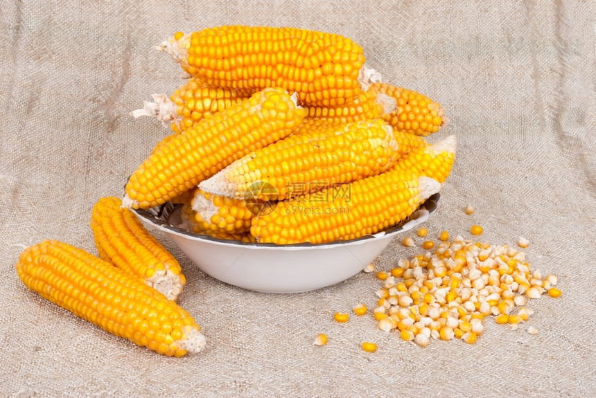 食物玉米的耳朵被撕裂在布隆普的背景上蔬菜核心图片