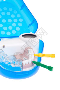牙齿采用专业的便携式牙科模型显示如何使用在白背景上隔绝的近身内刷子图片