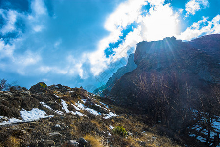 天空分支晴在尼泊尔喜马拉雅山上阳光明亮的照了树木枝叶没有子图片