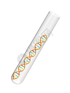 管子一种在白色背景隔离的试验管中脱氧核糖酸染色体玻璃高清图片素材