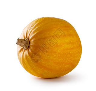 生长单身的橙黄南瓜在白色背景上被孤立的黄南瓜图片