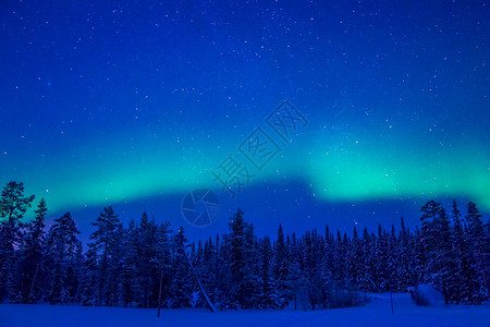 芬兰雪森林星空和极光设计图片