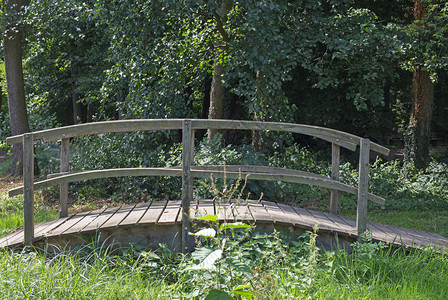 森林中一条小溪上的木桥自然平静的轨图片