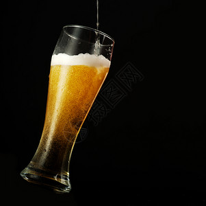 进入酒精将啤倒在玻璃中黑背景上黄色的背景图片