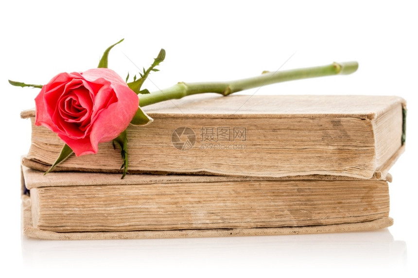 两本白色背景的玫瑰古老书学习文的图片
