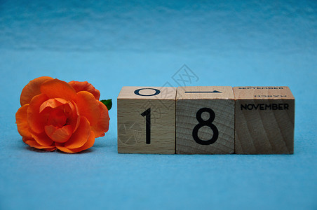 盛开蓝色的花瓣1月8日用蓝底橙色玫瑰的木制板块图片