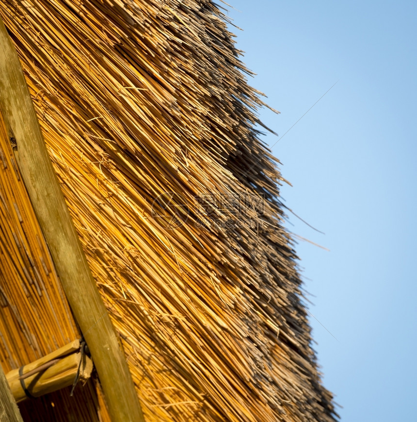 棕色的在非洲详细发现的典型潮湿屋顶建筑图案苫干燥图片