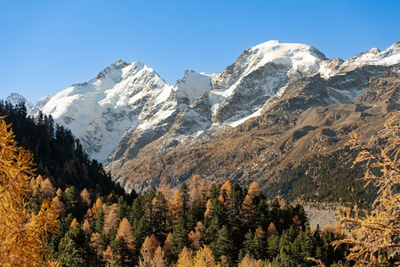 旅行雄伟景观秋天瑞士阿尔卑斯山伯尼纳峰图片