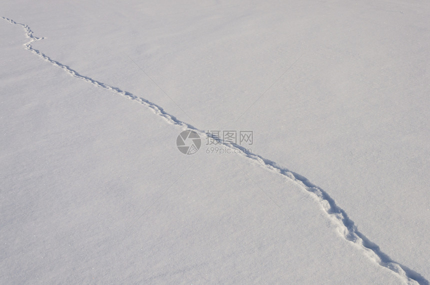 晴天自然季节带动物痕迹的雪田阳光明媚的冬季日图片