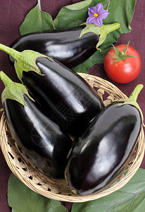 椭圆形篮子中黑色的茄厨师蔬菜图片