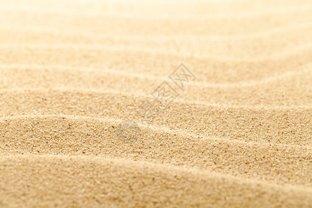沙漠沙滩图片