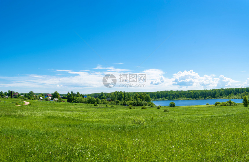 水树俄罗斯中部美丽的夏季风景伊万诺沃州Baglaeva村伊凡诺沃州蓝色的图片