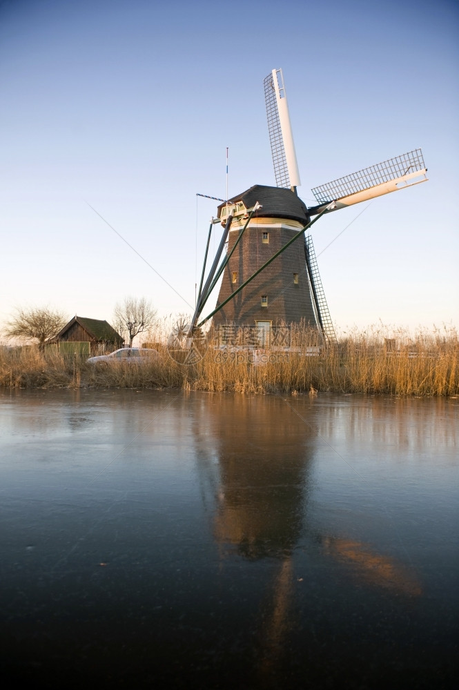 反射冬天莱申丹典型的荷兰风车在冬晨光温暖照耀下烘烤图片