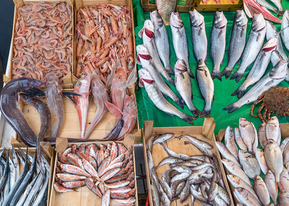 一顿饭物种伊斯坦布尔渔场上的各种鱼火鸡背景图片