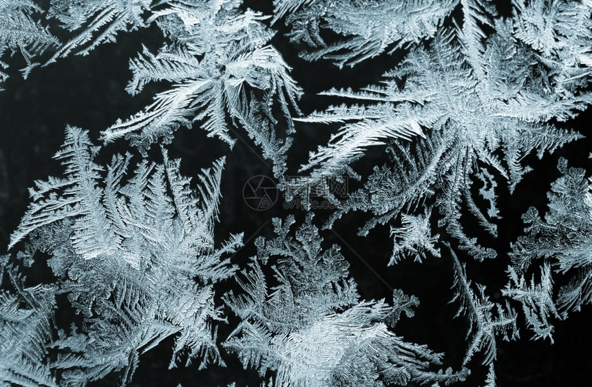 窗玻璃上的天然霜背景自抽象的季节图片