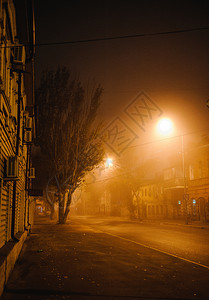 雾中夜色城市风景照片中雾城市风景路心城观图片