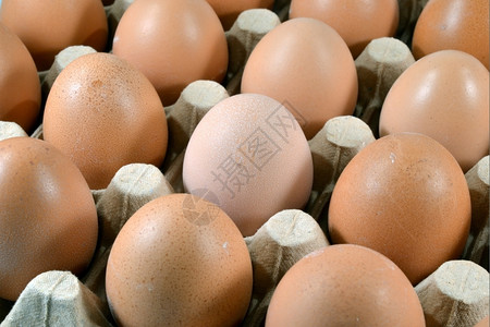 营养鸡蛋背景图片