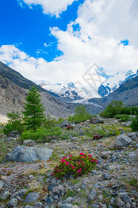 英石春天雪夏季阿尔卑斯山下冰川脉的罗多登峰图片