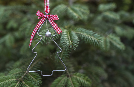 圣诞树形状装饰图片