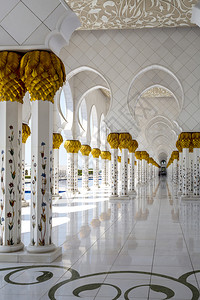 白色的金花阿联酋布扎比SheikhZayedGrand清真寺专座画廊的黄金首府背景图片